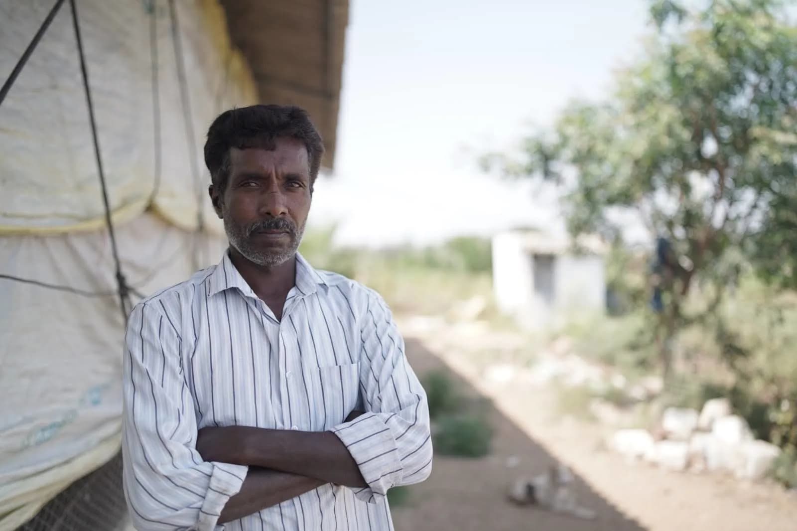 Leaping forward with confidence