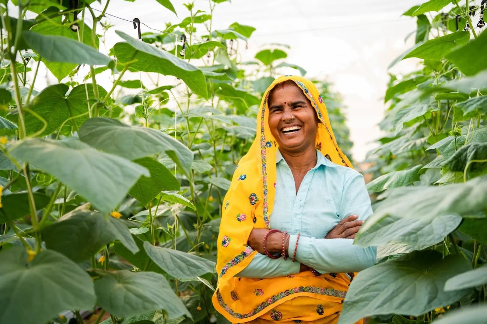 Rooted in resilience