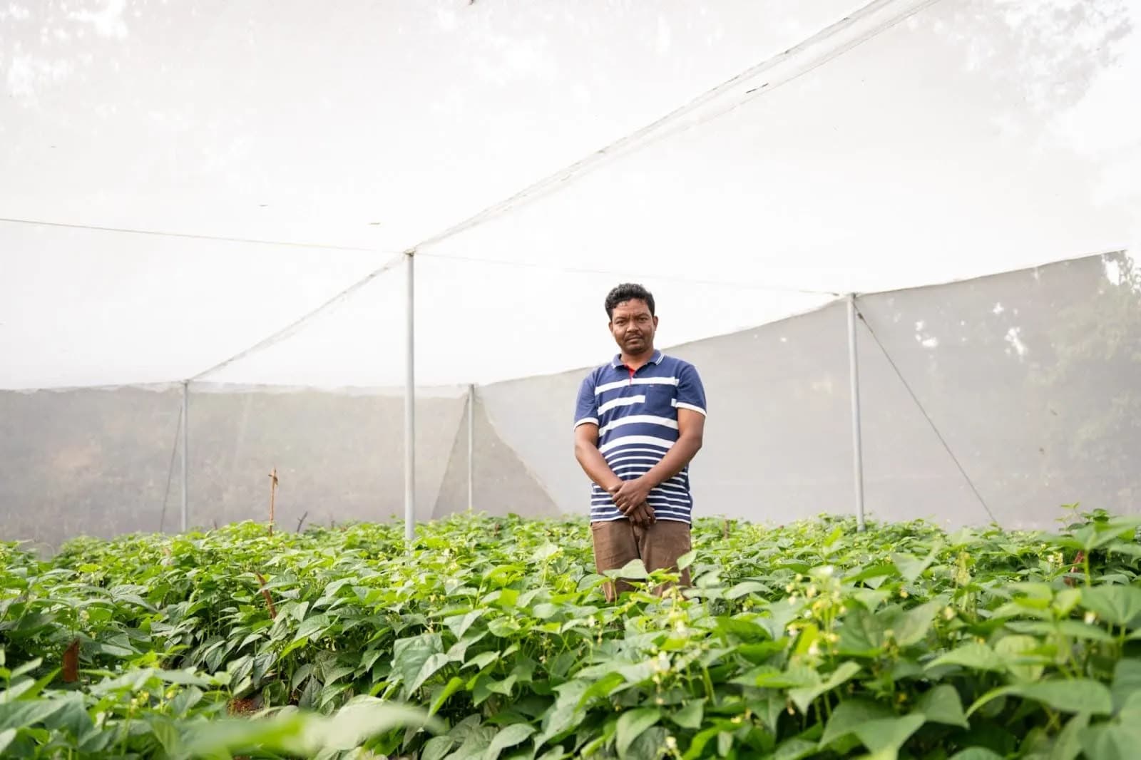 Leading and inspiring change