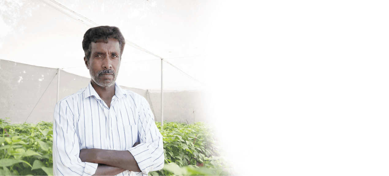 Nimma Yadagiri, Gajwel, Telangana