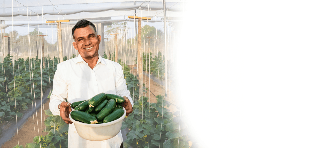 Rampal Choudary, Rajasthan